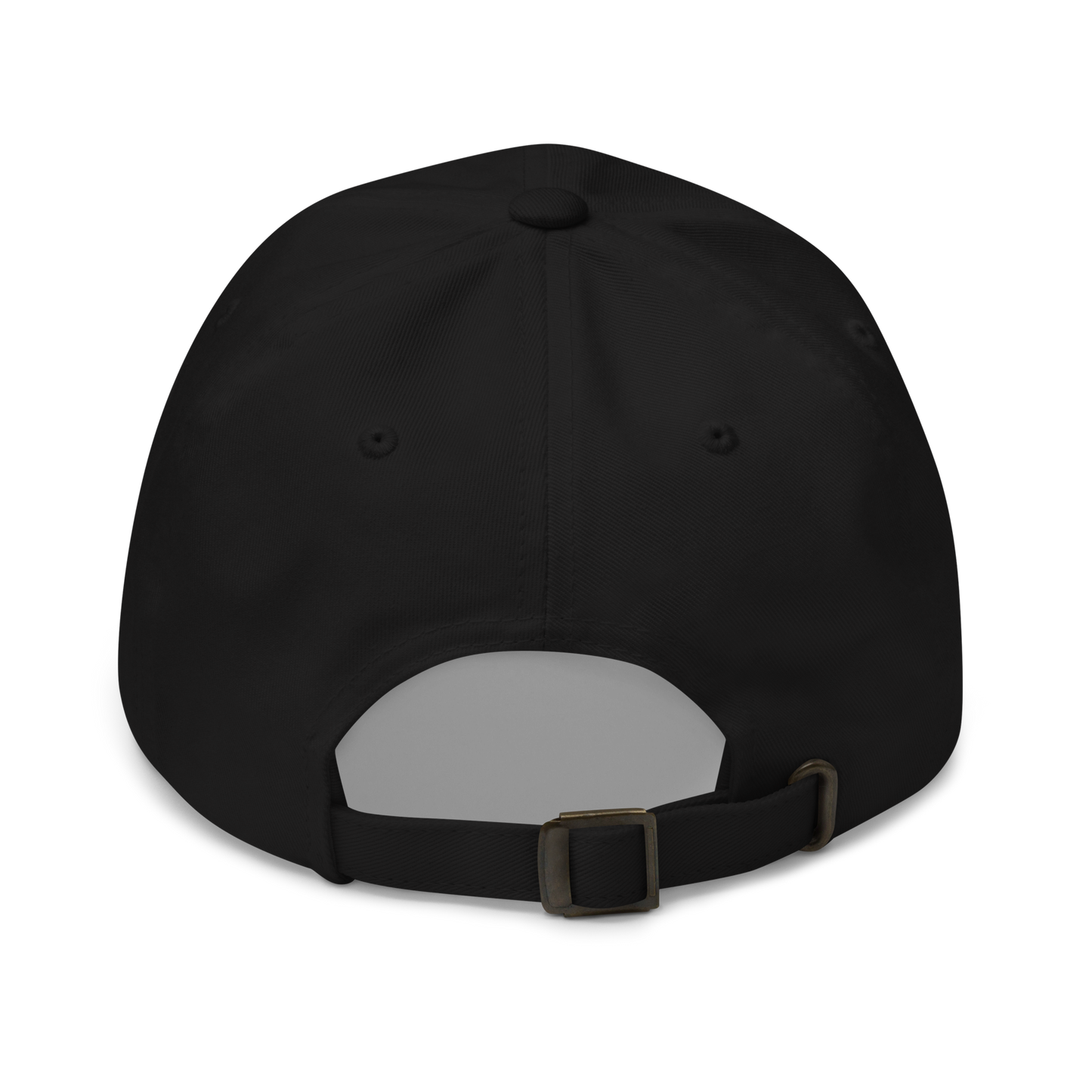 Homeless I.D. Project Dad Hat