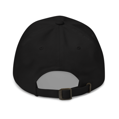 Homeless I.D. Project Dad Hat
