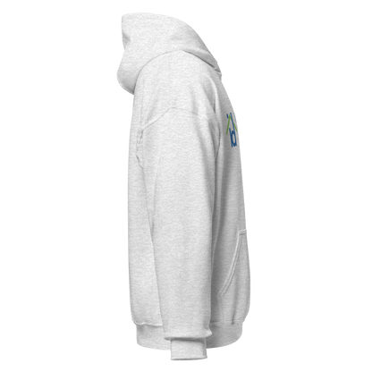 Homeless I.D. Project Hoodie